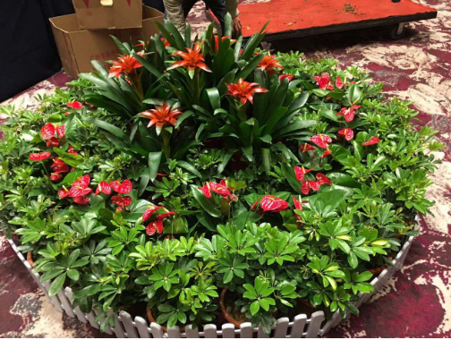 園林綠化 園林綠化