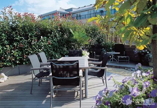 園林綠化養護中容易被忽視什么?