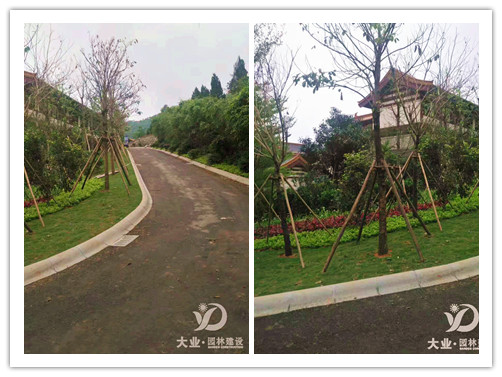 園林綠色養護 園林綠色養護