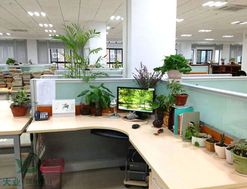 如何做好園林綠化養護呢?