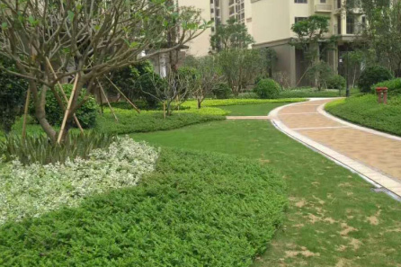 園林綠化設計中鋪裝的幾個表現要素！