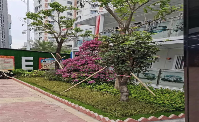 哈爾濱工業大學（深圳）